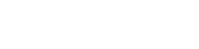 VERSION DIGITAL