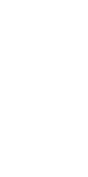 VERSION DIGITAL
